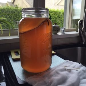 scoby_formation2